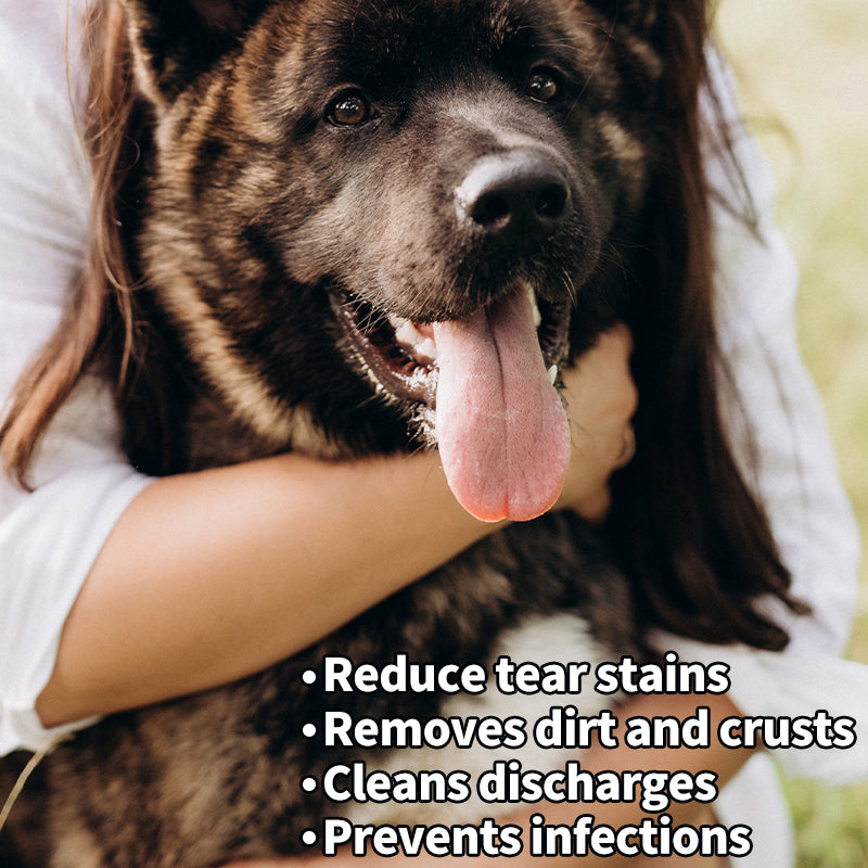 PET EYE WIPES