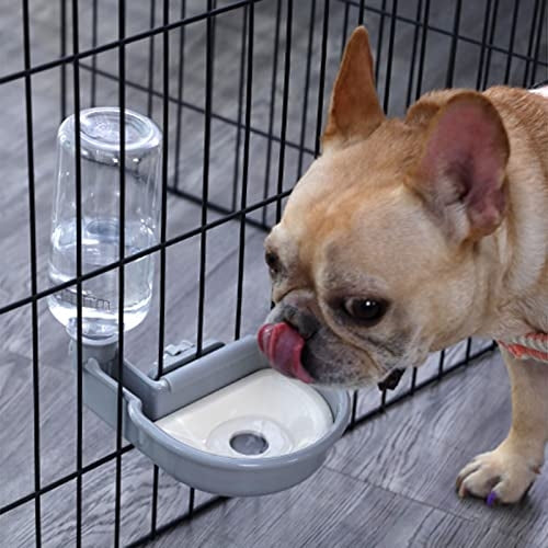 Pet water dispenser