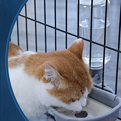 Pet water dispenser