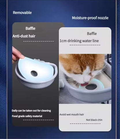 Pet water dispenser