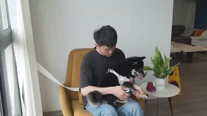 LED Pet Nail Clipper with Built-in Light